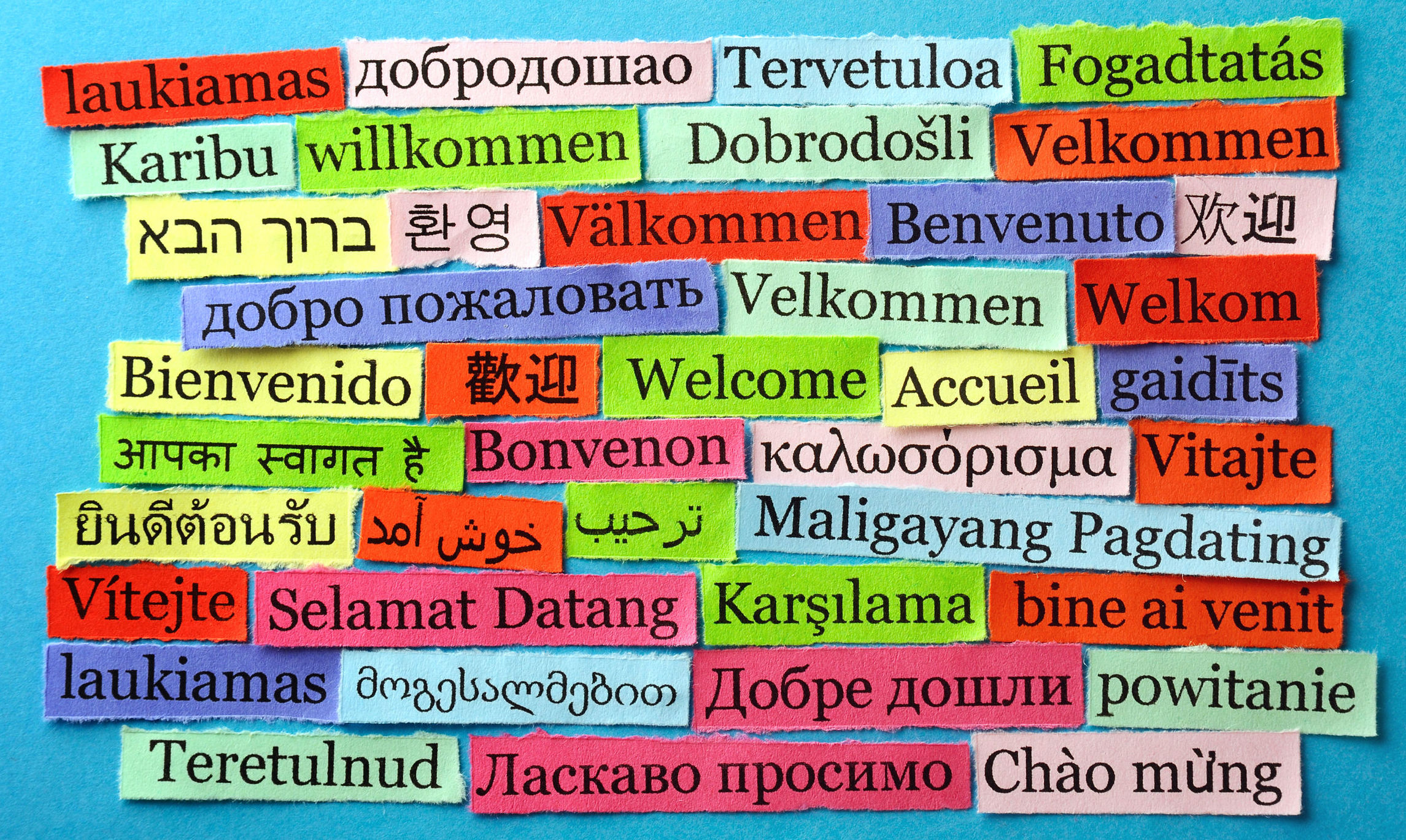 ELN101: Introduction to Bilingualism course illustration